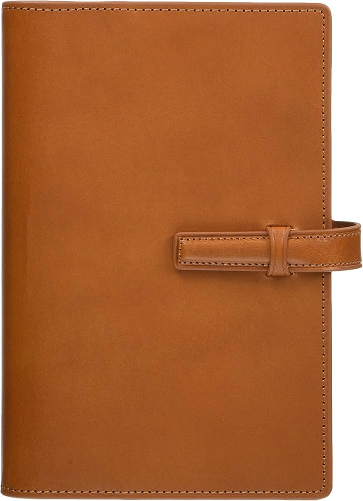 Amazon.co.jp: レイメイ藤井 ダ・ヴィンチグランデ オールアース